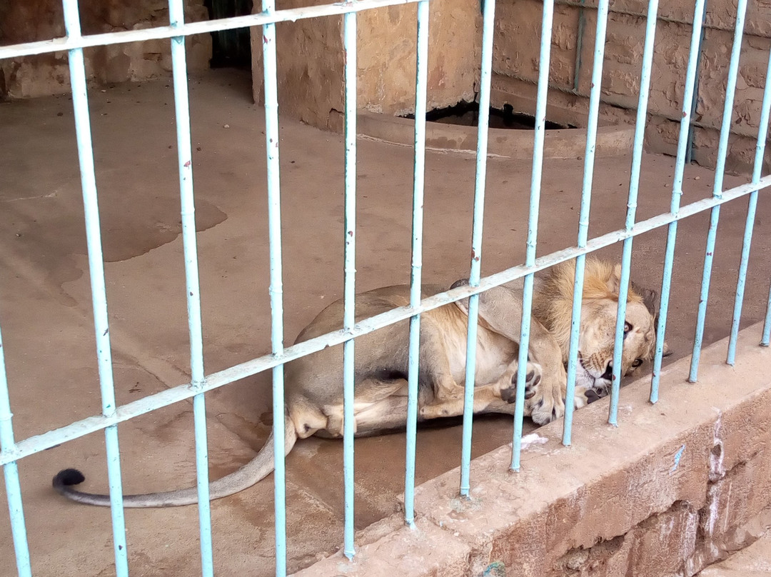National Museum of Niger (Musée National du Niger)-尼亚美必去景点