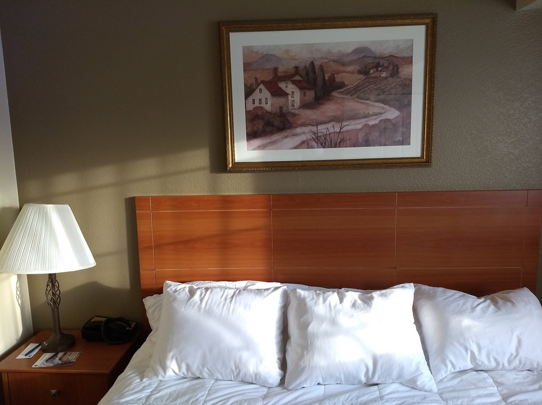 Comfort Inn & Suites Ukiah Mendicino County主图