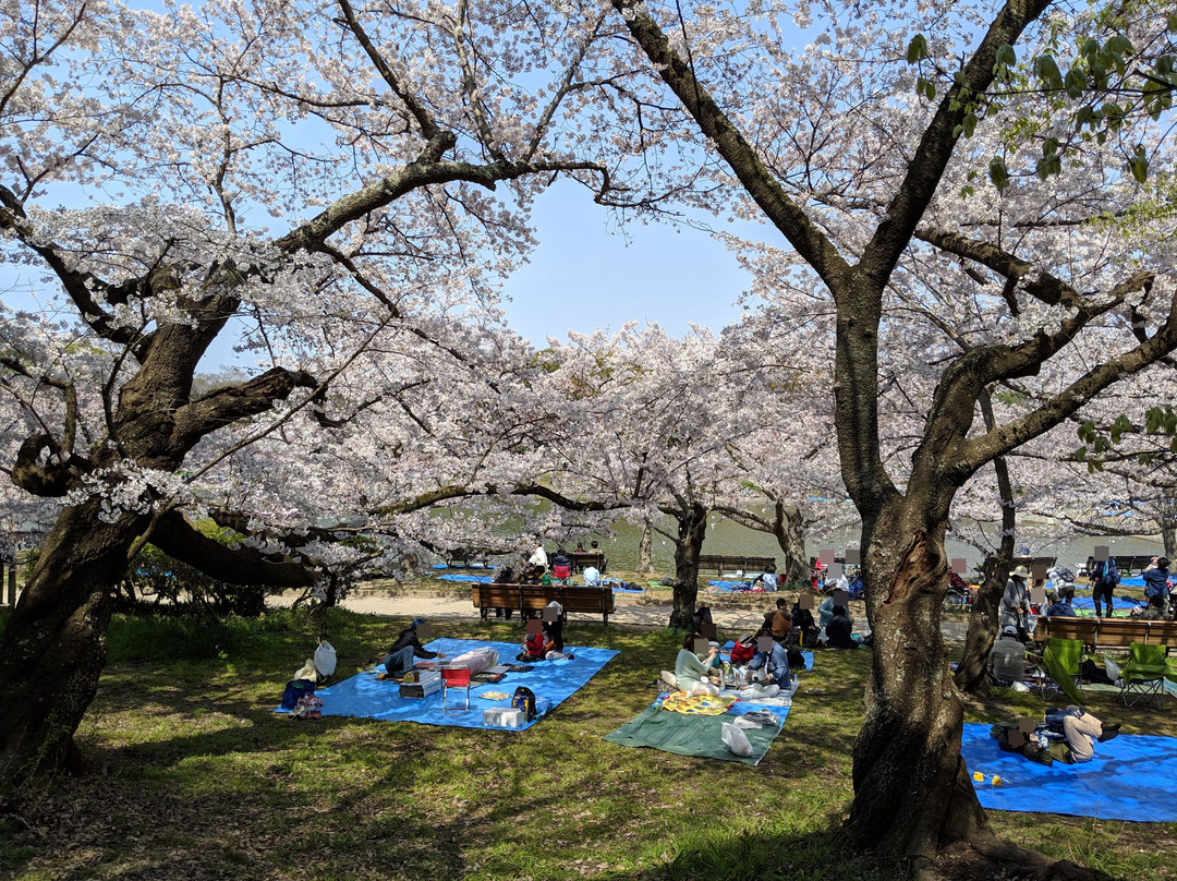 Akashi Park景点图片