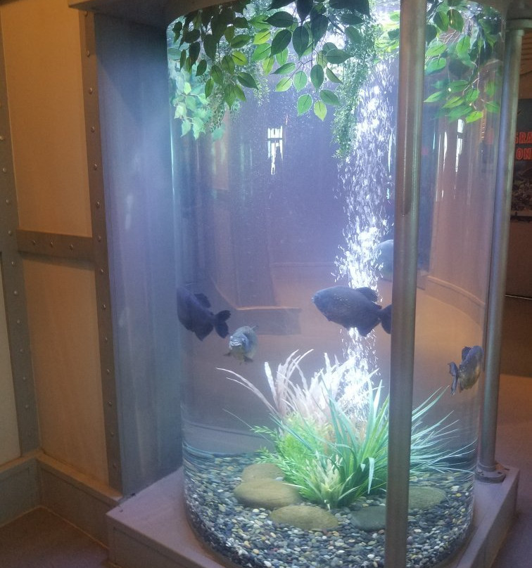 Stingray Reef 215 Kipp Ave-克马必去景点