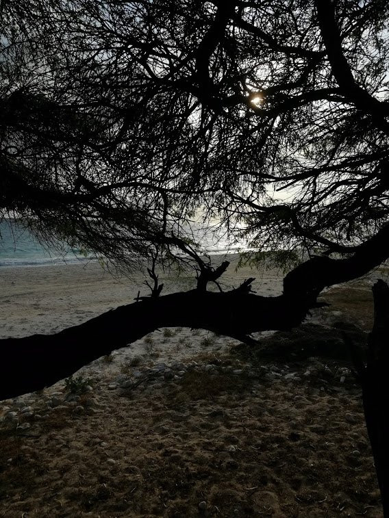 Hotel Villas Del Mar主图