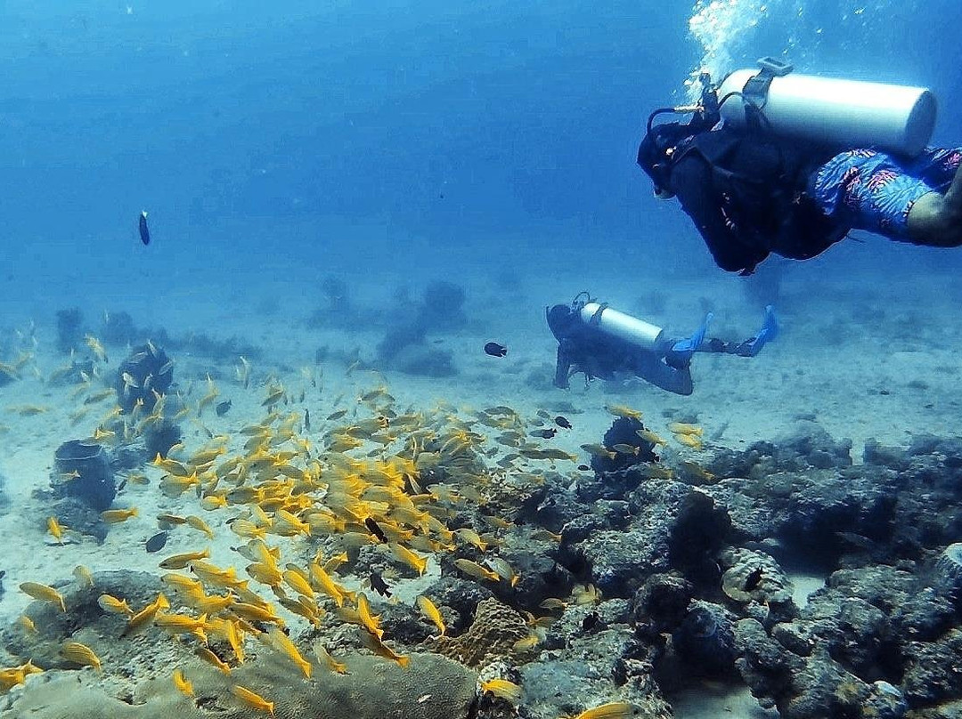 Reefers景点图片