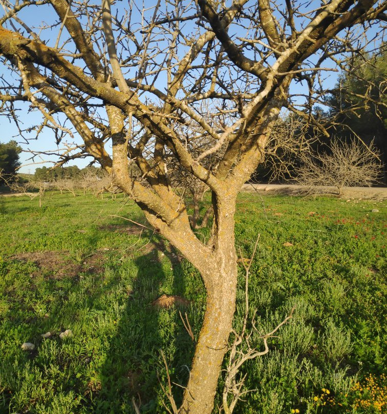 Joe Alon Center-Lahav必去景点