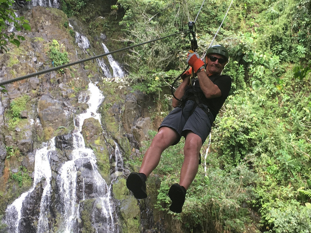 Canopy Adventure景点图片