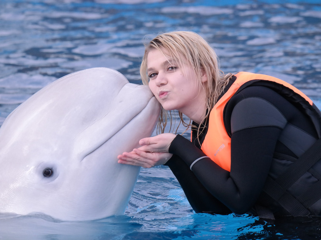 Geoje Sea World-巨济市必去景点