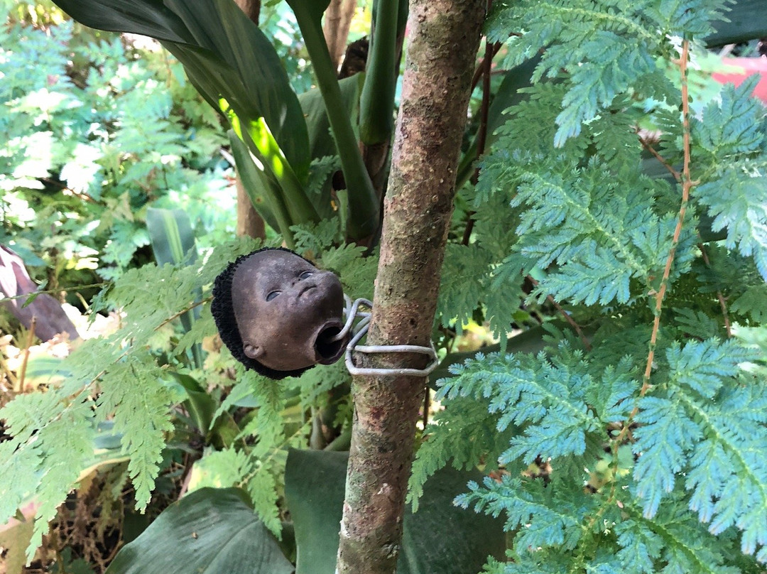 Jardin Botanico de Viñales-维纳勒斯必去景点