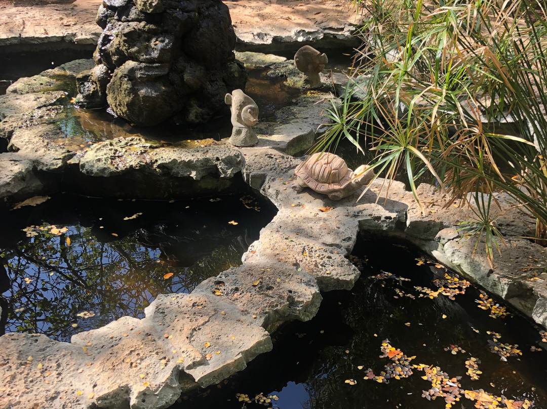 Jardin Botanico X'much Haltun-坎佩切州必去景点