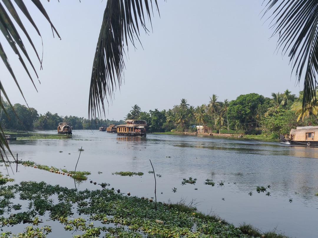 Sunsets and Palm Trees主图