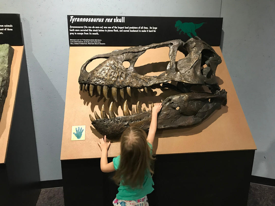 Mesalands Community College's Dinosaur Museum and Natural Sciences Laboratory-图克姆卡里必去景点