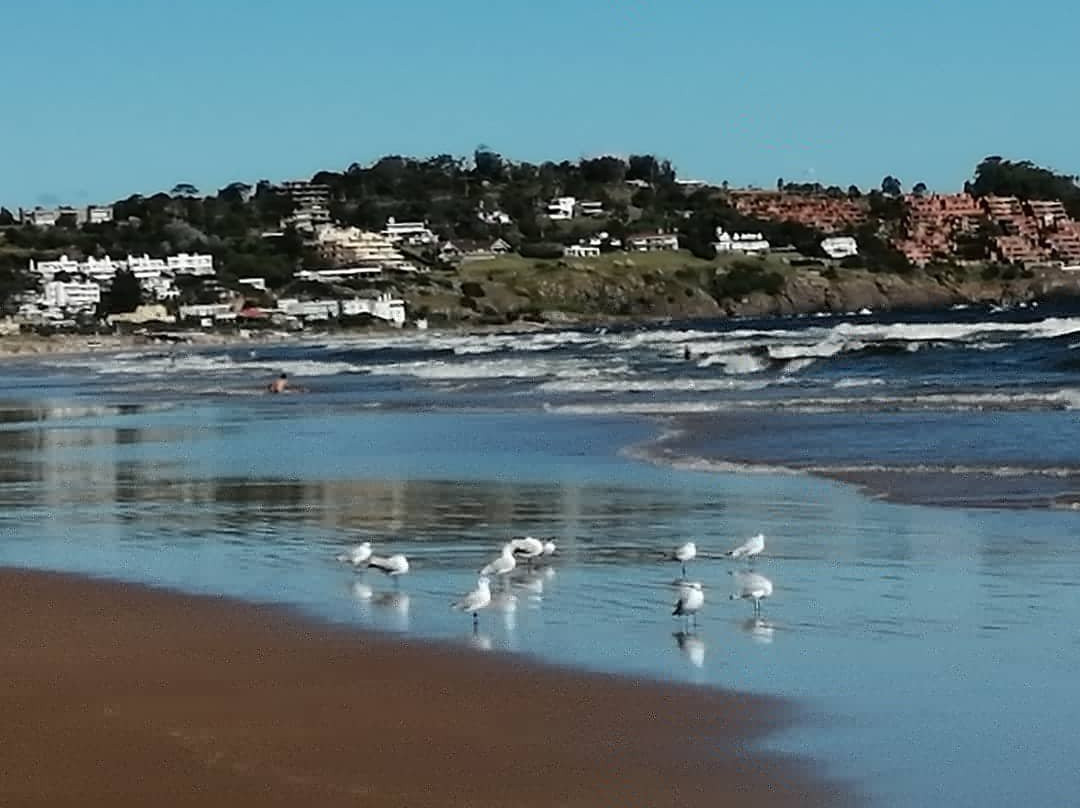 Playa Solanas-Punta Ballena必去景点