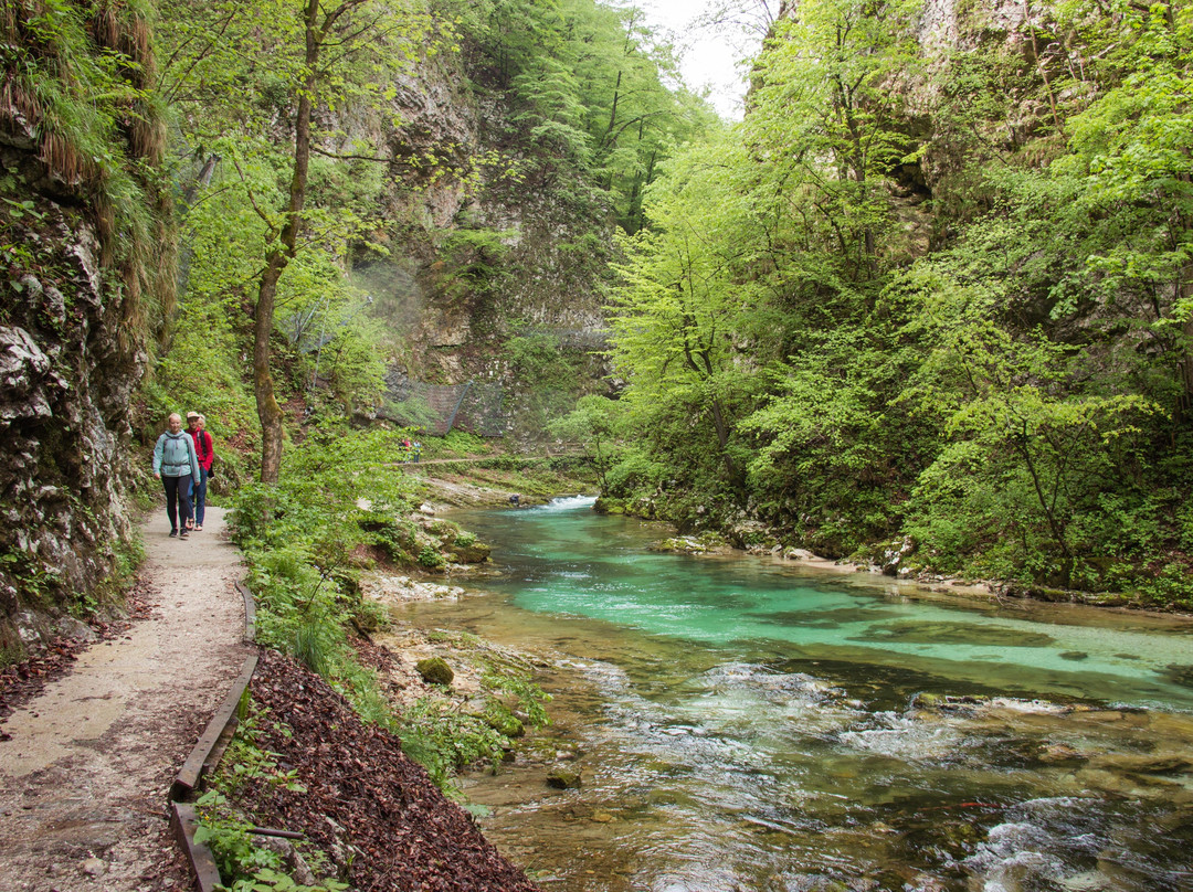 Day Trips Slovenia-卢布尔雅那必去景点