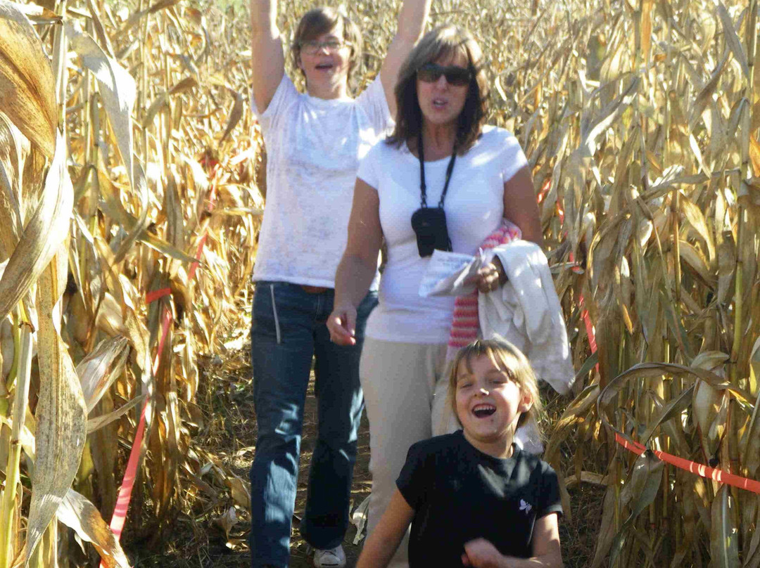 Hugli's Blueberry Ranch & Country Gift Store-Pembroke必去景点