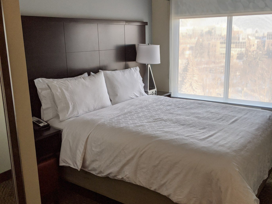 萨斯卡通洲际Staybridge Suites酒店 - 大学