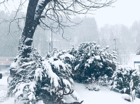 Q! Resort Health & Spa主图