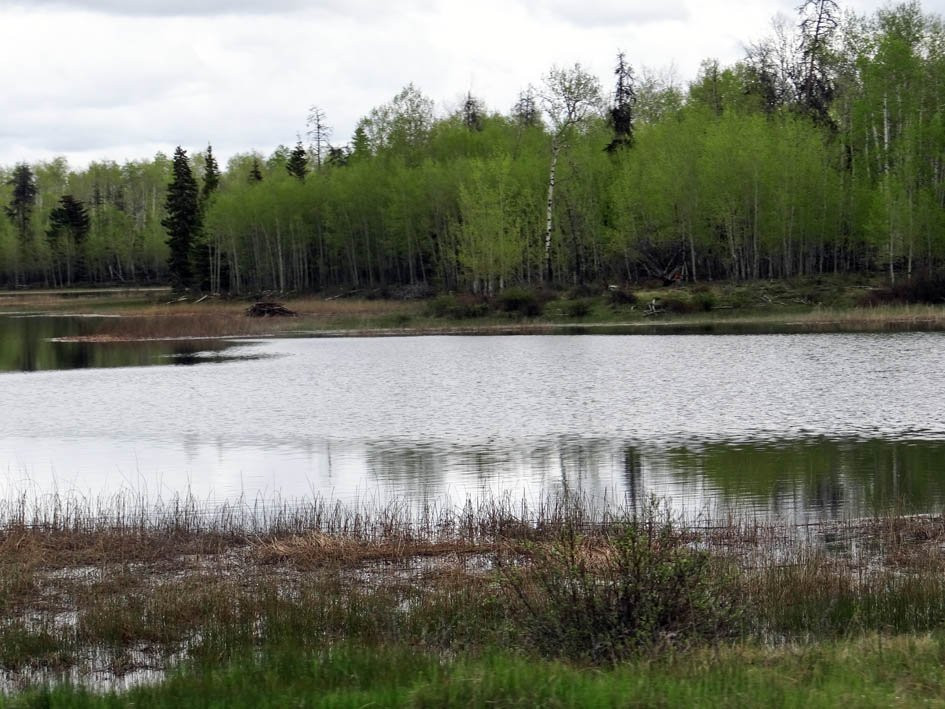 Green Lake Provincial Park景点图片