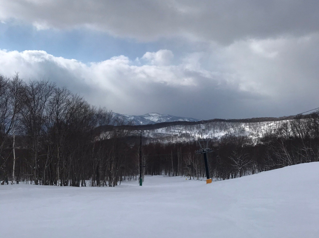 Niseko Moiwa Ski Resort景点图片