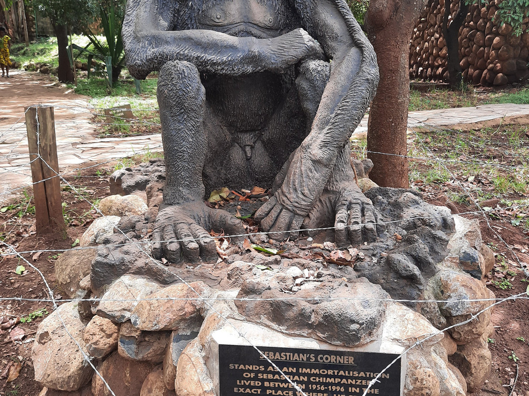 Wasili Kenya Safaris-内罗毕必去景点