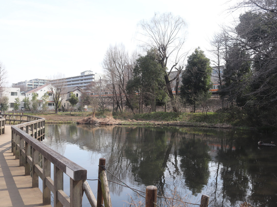 Sugatami no Ike-国分寺市必去景点