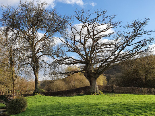 Bosrobert旅游攻略图片