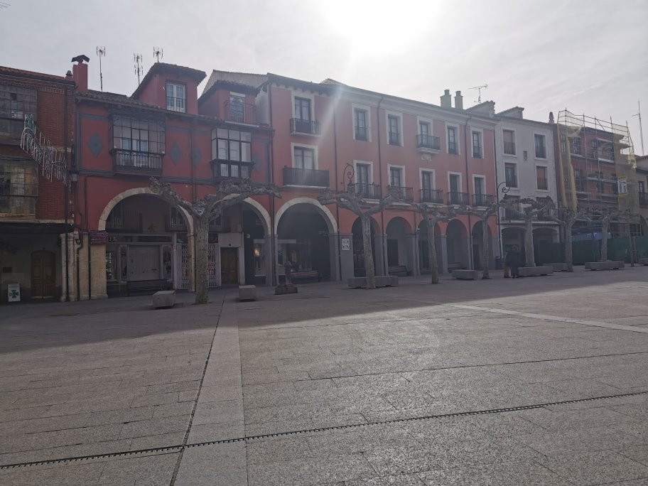 Plaza Mayor景点图片