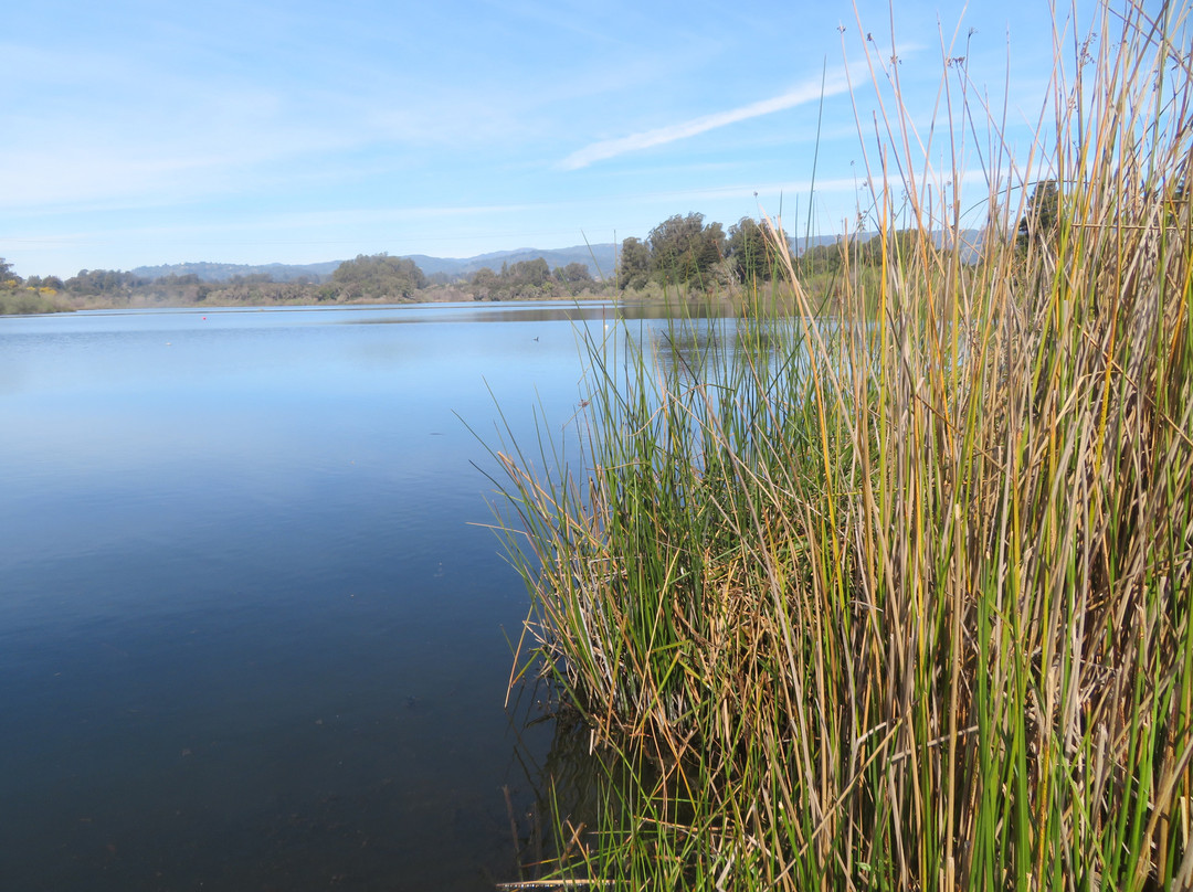 Pinto Lake County Park-沃森维尔必去景点