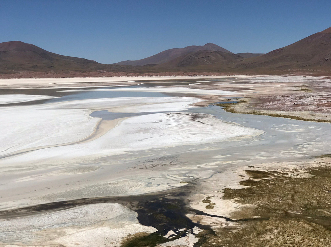 Laguna de Piedras景点图片
