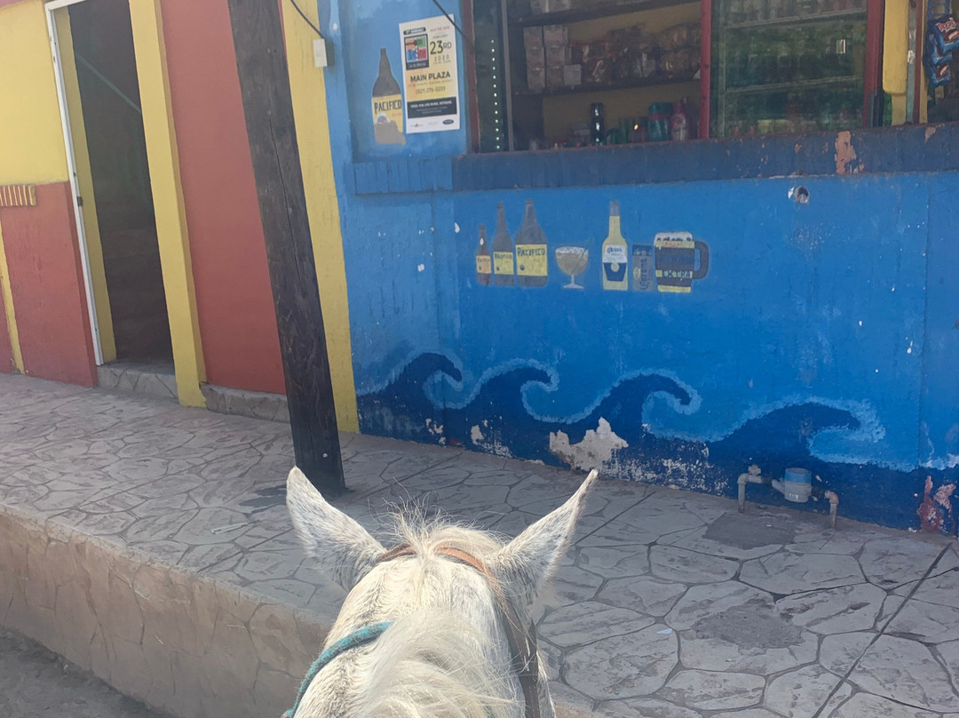 Lo de Marcos Horseback Rides & Adventure Tours景点图片
