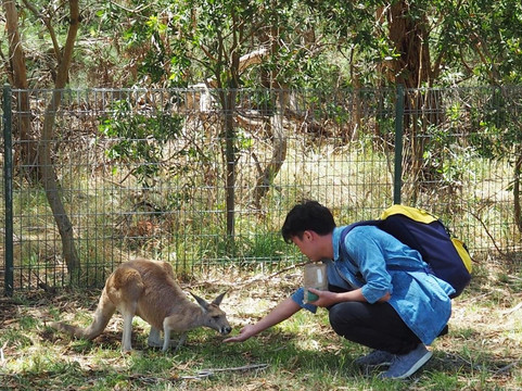 Adelaide Driving Tour-阿德莱德必去景点