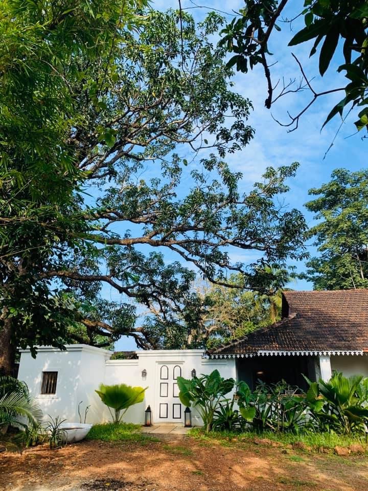 The Island Sanctuary Goa-portrait