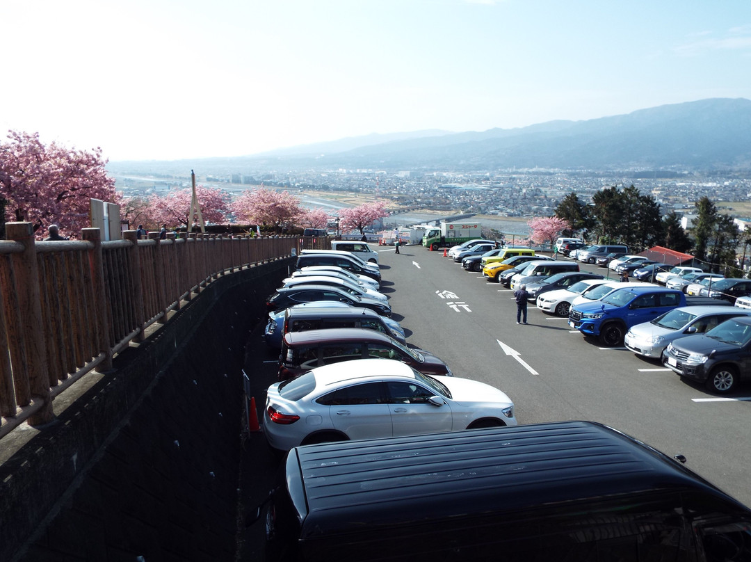 Nishihirahata Park景点图片