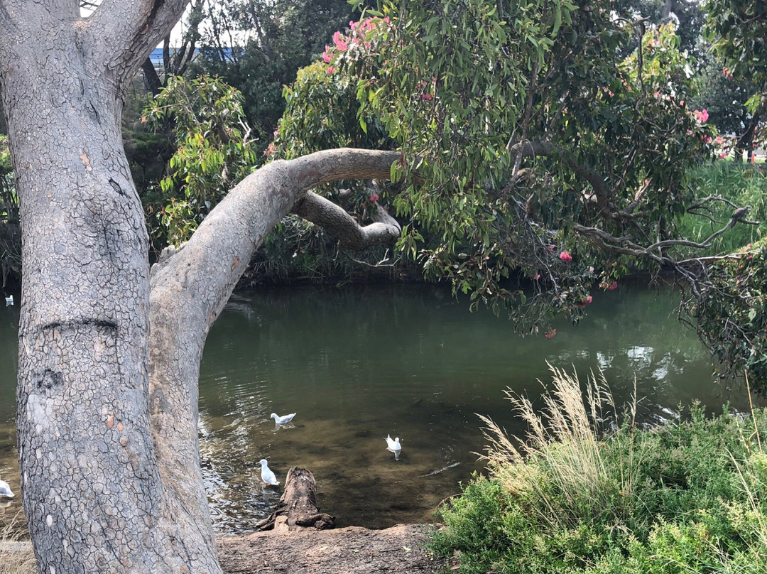 Broughton Reserve-锡福德必去景点