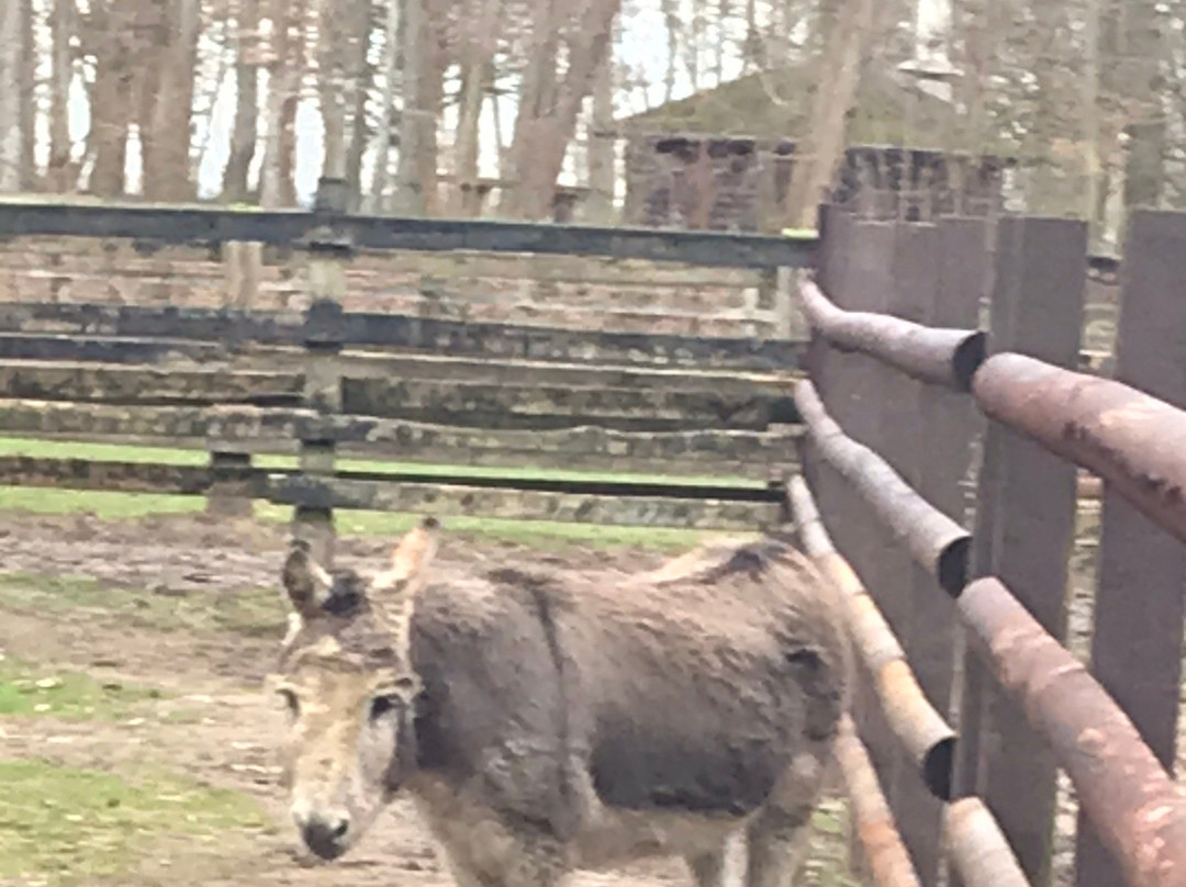 Tierpark Tannenbusch-Dormagen必去景点