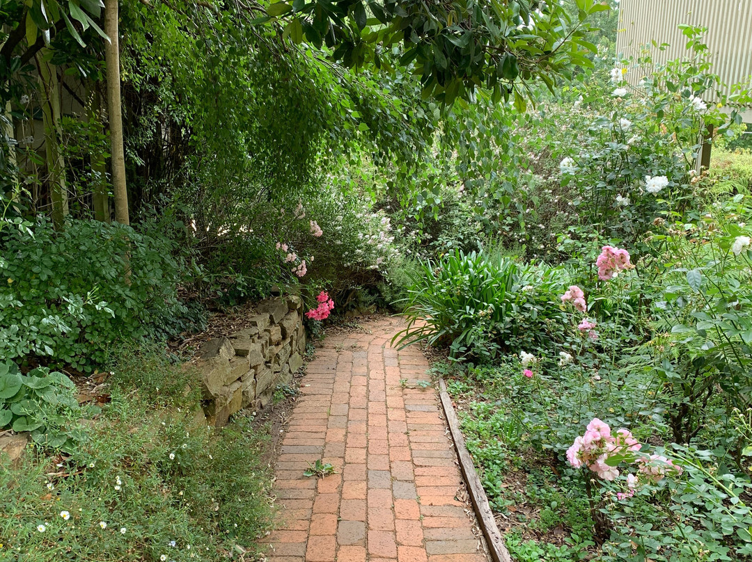 Birches of Daylesford主图