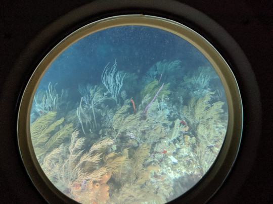 Atlantis Submarines-七哩滩必去景点