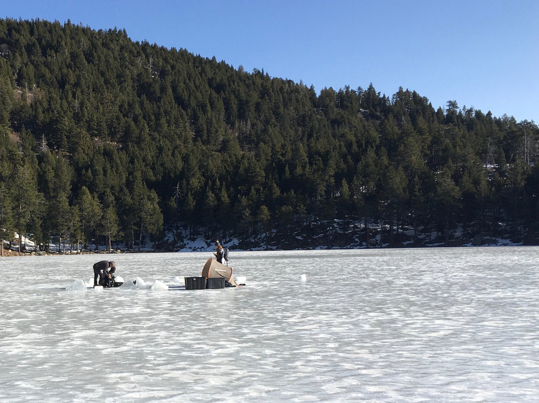 Plongée Cap Cerbère-Cerbere必去景点