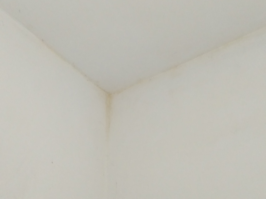 Lady B Bed & Breakfast主图