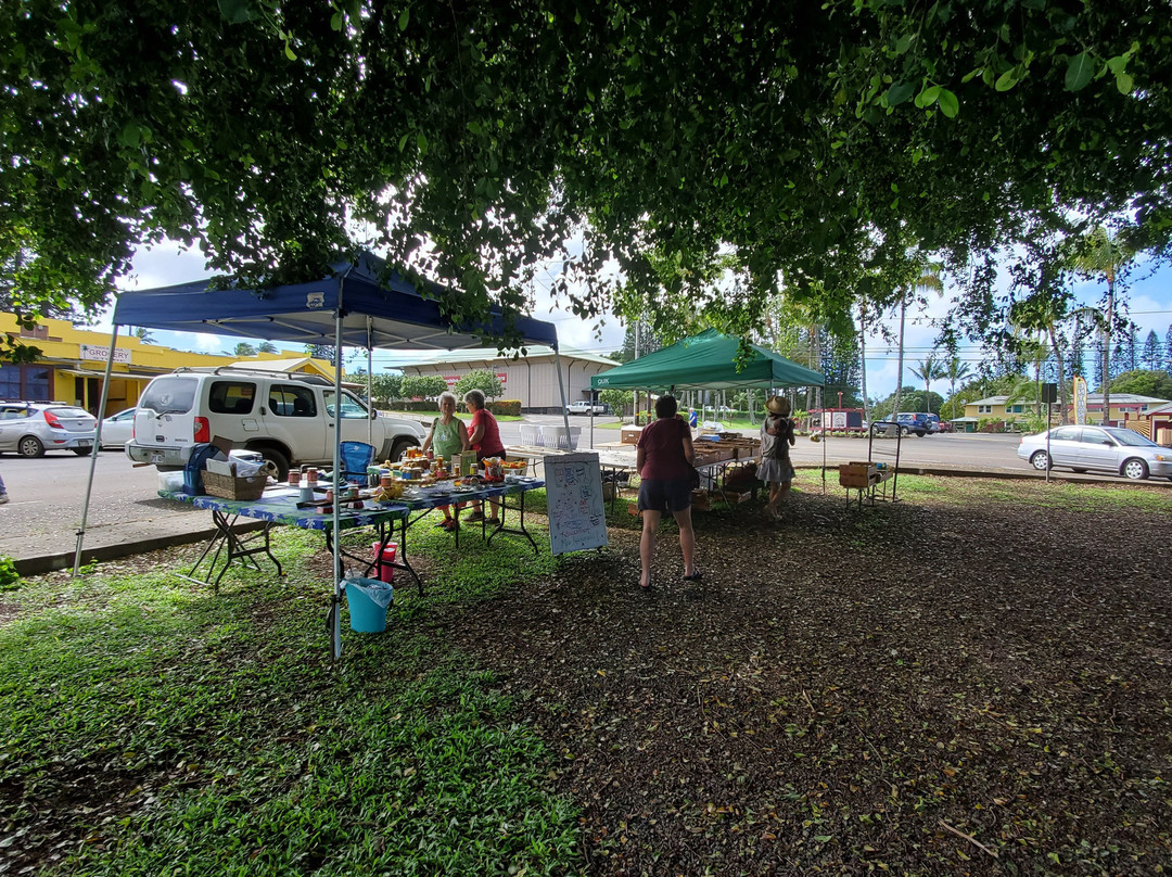 Hawi Farmers Market-哈威必去景点