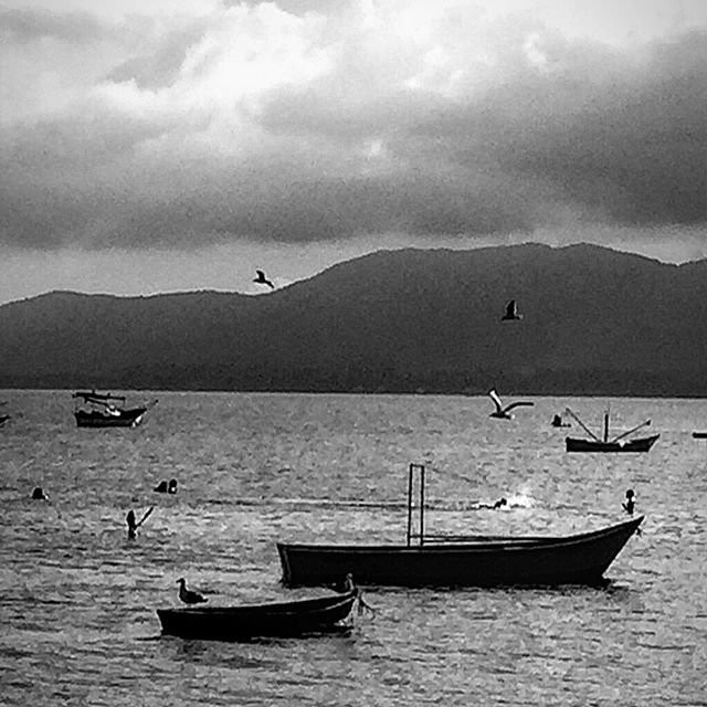Pontal Beach-Itapoa必去景点