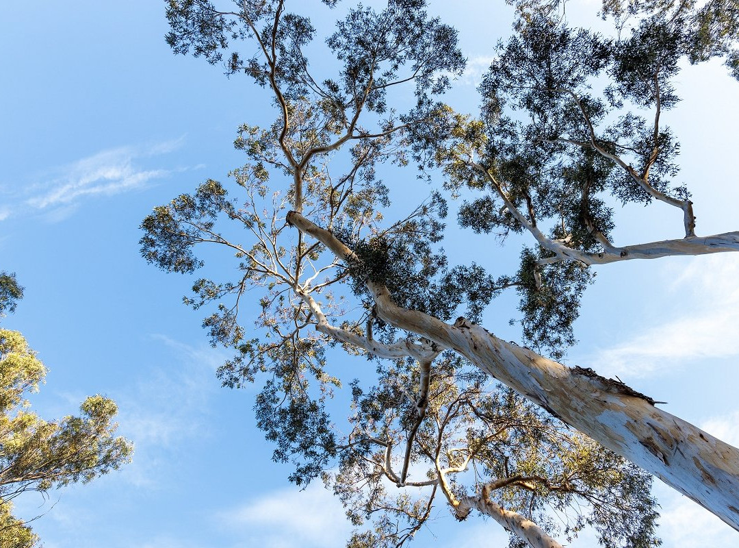 Serrano Creek Community Park-莱克福里斯特必去景点