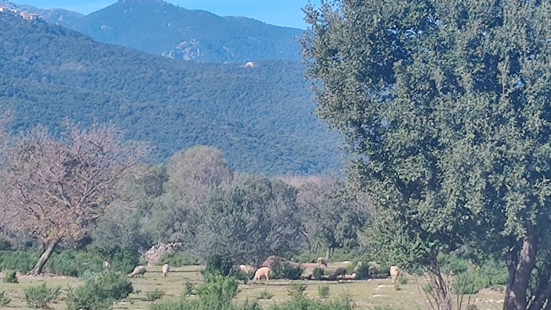 Sol In Bike-Solaro必去景点