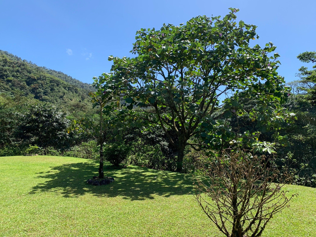 El Canto Del Rio主图