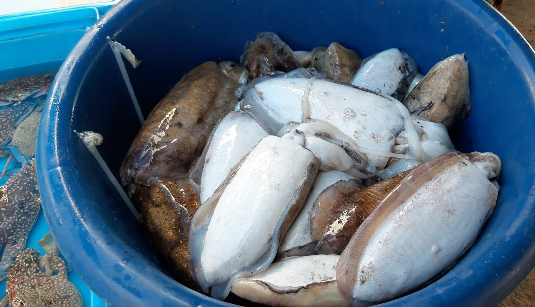 Ban Phe Market-Phe必去景点