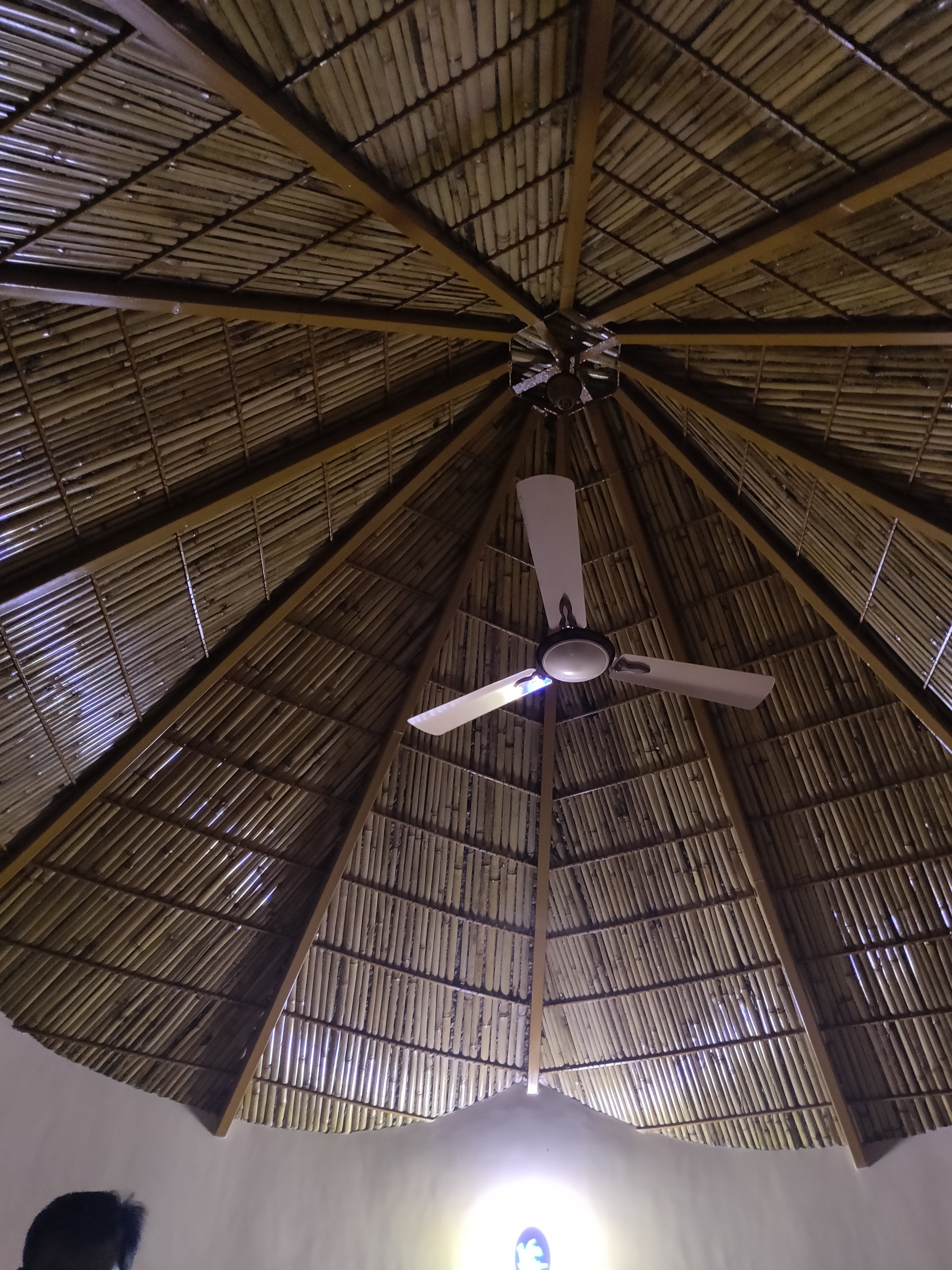 Dholavira Homestay-portrait