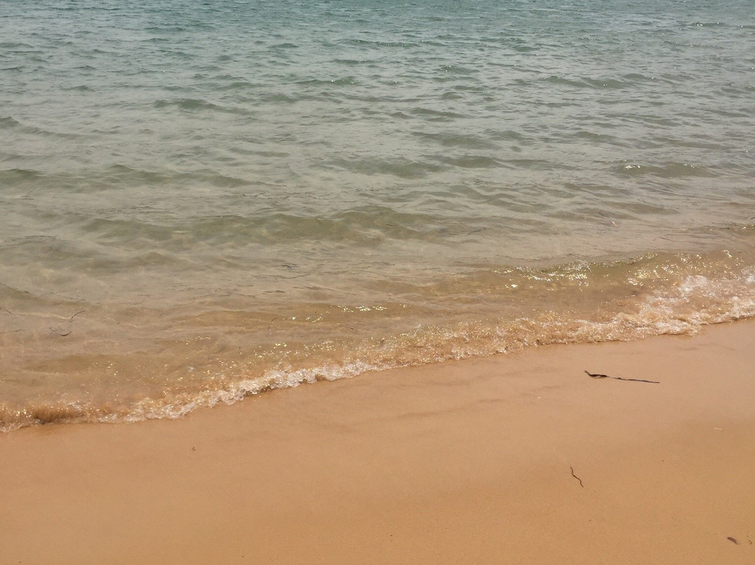 Putty Beach景点图片