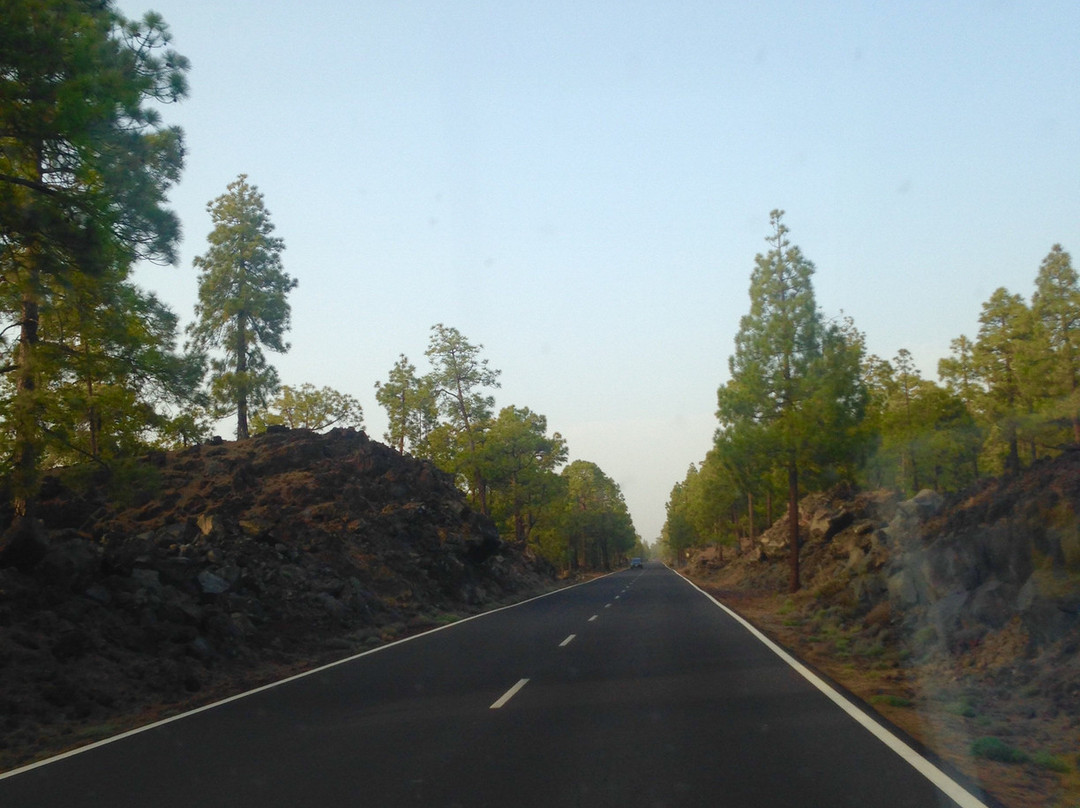 Tenerife Elite Tours-奥德杰海岸必去景点