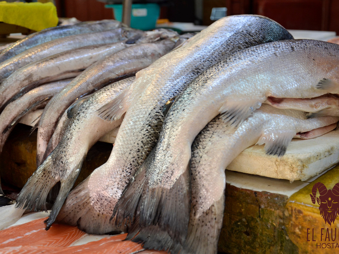 Hostal El Fauno主图