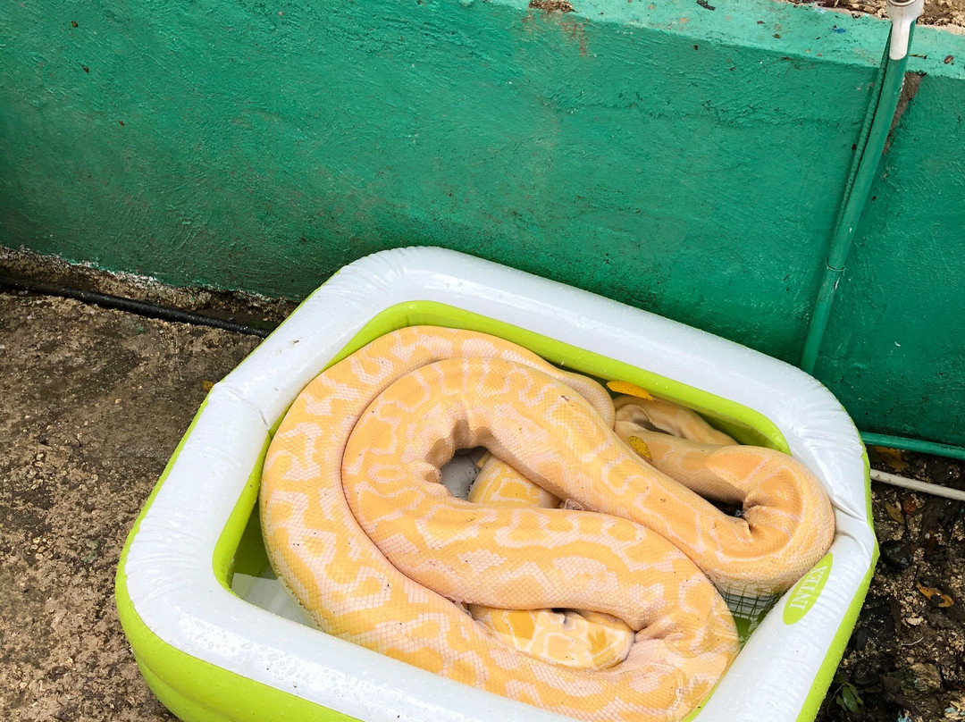 Xzootic Animal Park景点图片
