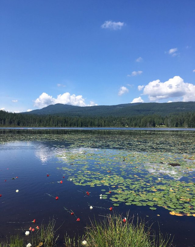Whonnock Lake-枫树岭必去景点