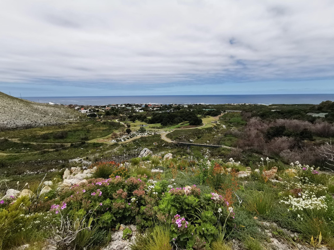 Harold Porter National Botanical Gardens-Betty's Bay必去景点