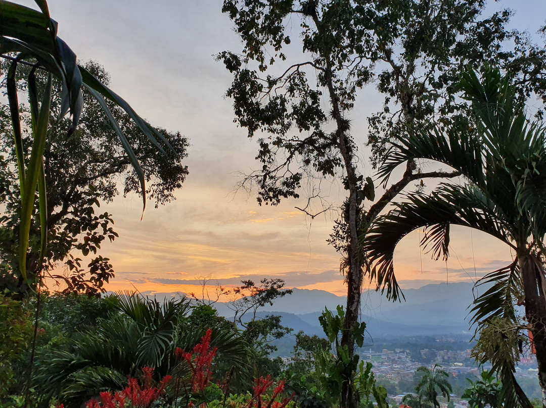 Hostal Tena Ñaui主图